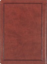 Sword And Shield 40 Day Devotional