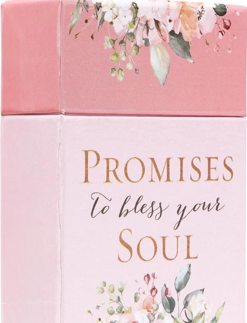 Promises 101 Promises To Bless Your Soul