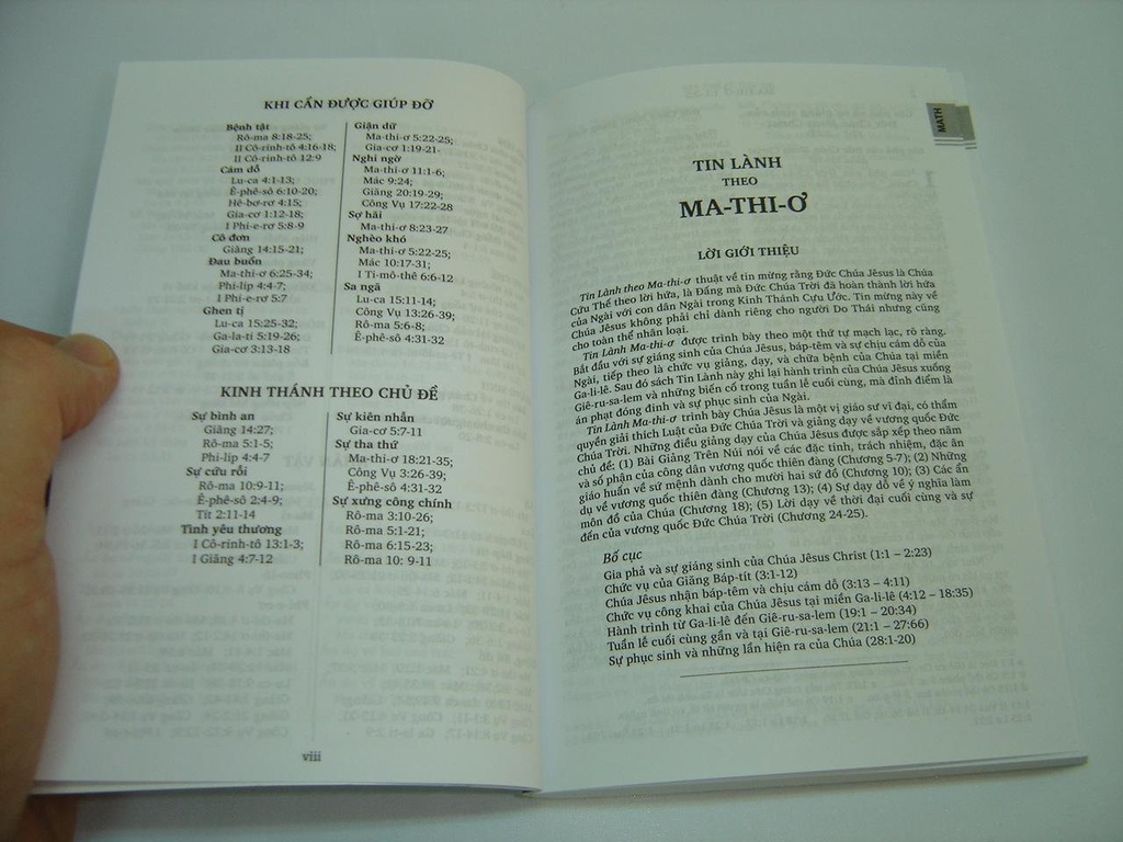 RVV Vietnamese New Testament Compact Revised Ed P/B