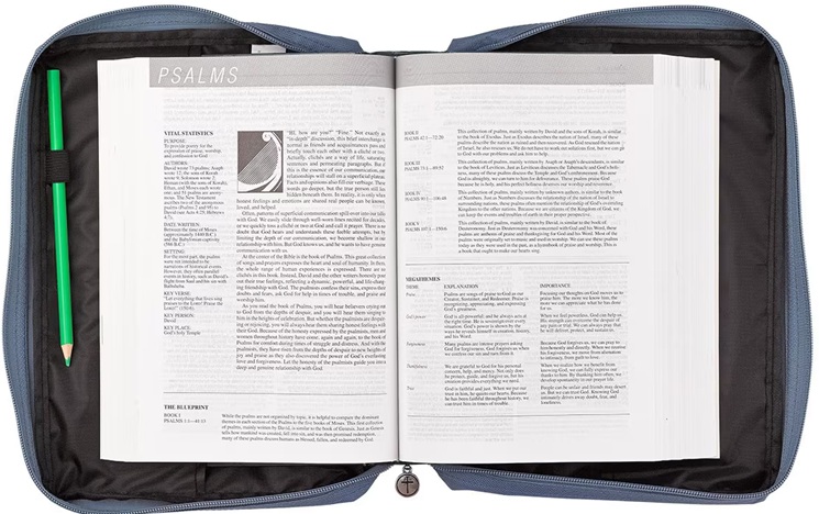 Bible Case Canvas Footprints Med