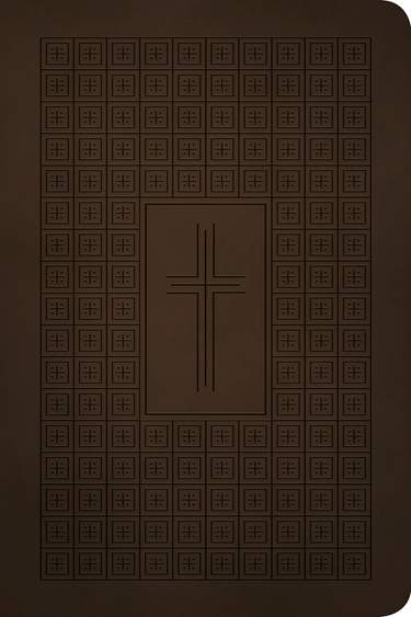 NLT Bible Premium Value Thinline Filament Dark Brown