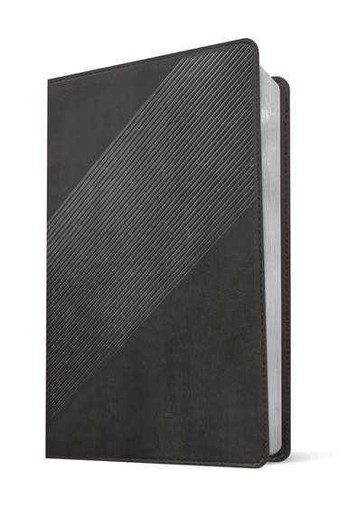 NLT Student Life Application Bible Filament Gray I/L