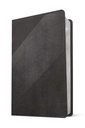 NLT Student Life Application Bible Filament Gray I/L