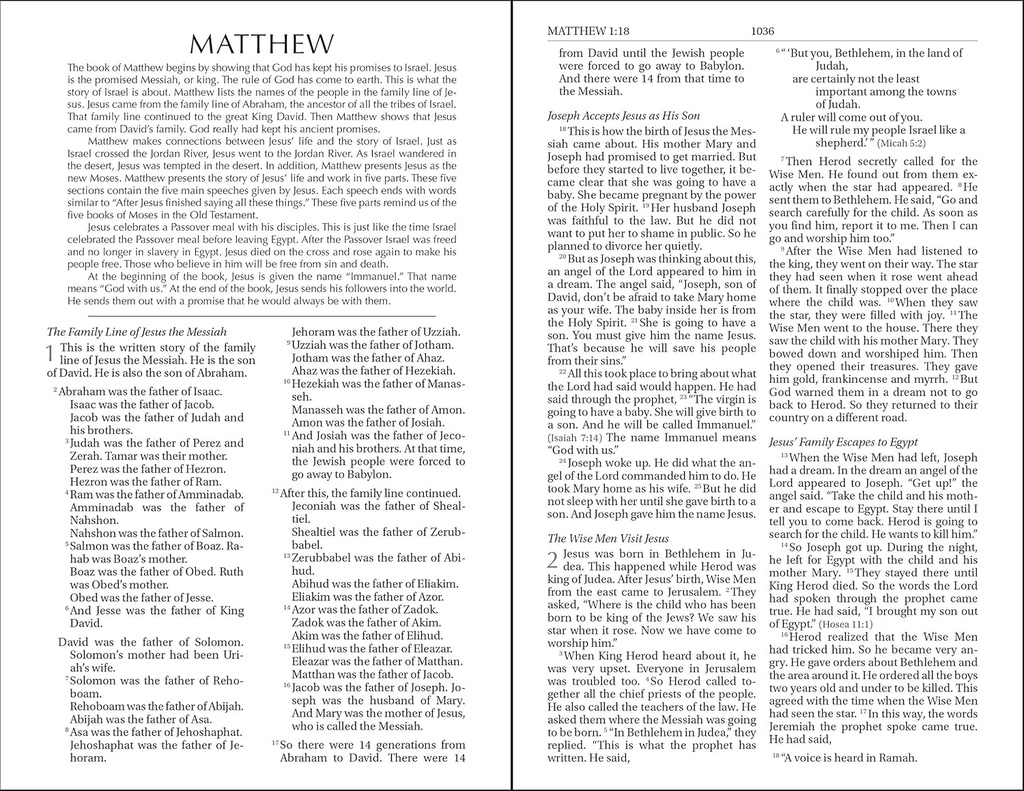 NIrV Outreach Bible Blue Paperback