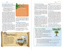NIV Adventure Gospel of Mark