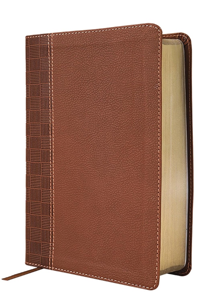 NIRV Giant Print Compact Bible Brown I/L