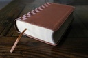 NIRV Giant Print Compact Bible Brown I/L