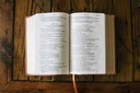 NIRV Giant Print Compact Bible Brown I/L