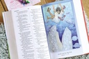 NIrV Discoverer's Bible H/C