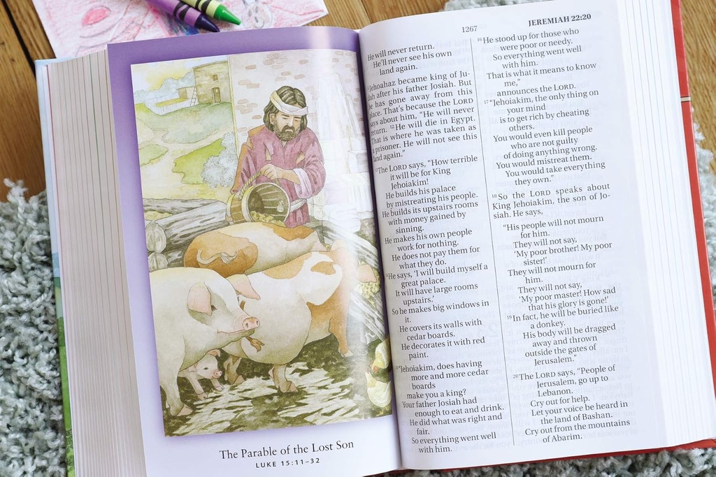 NIrV Discoverer's Bible H/C