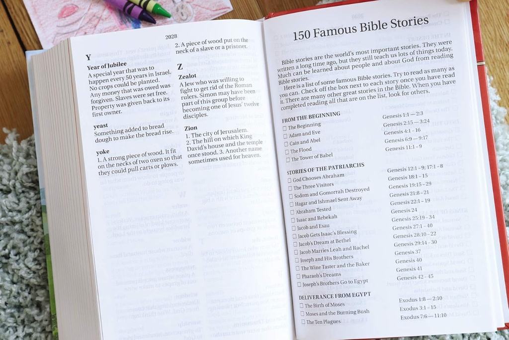NIrV Discoverer's Bible H/C