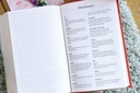 NIrV Discoverer's Bible H/C
