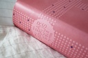 NIrV Clear Focus Bible for Kids Pink (08/25)