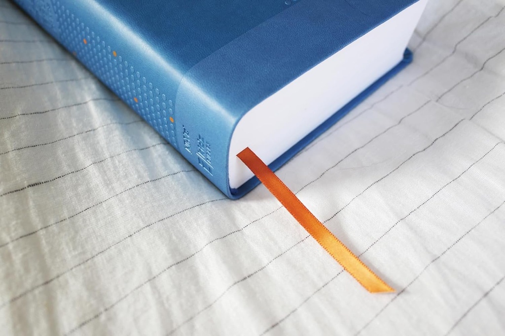 NIrV Clear Focus Bible for Kids Blue (08/25)