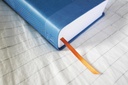 NIrV Clear Focus Bible for Kids Blue (08/25)