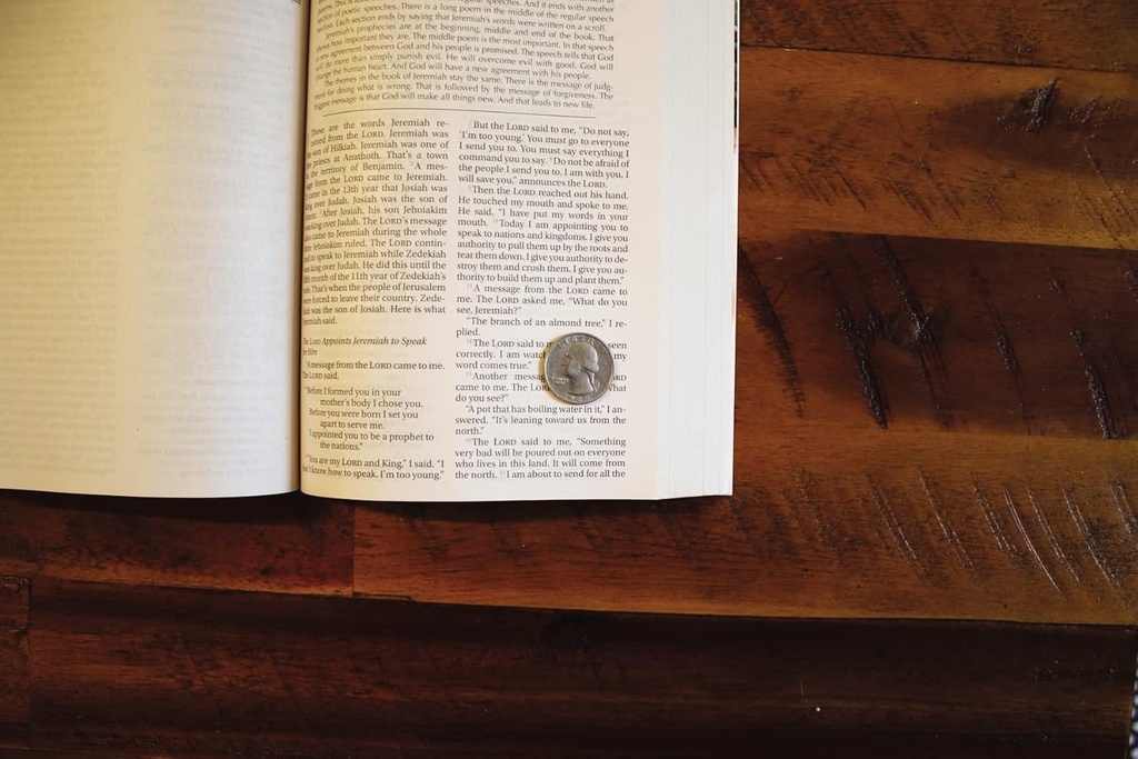 NIRV Children's Holy Bible Paperback