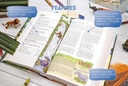 NIrV Adventure Bible for Early Readers DuoTone Blueberry