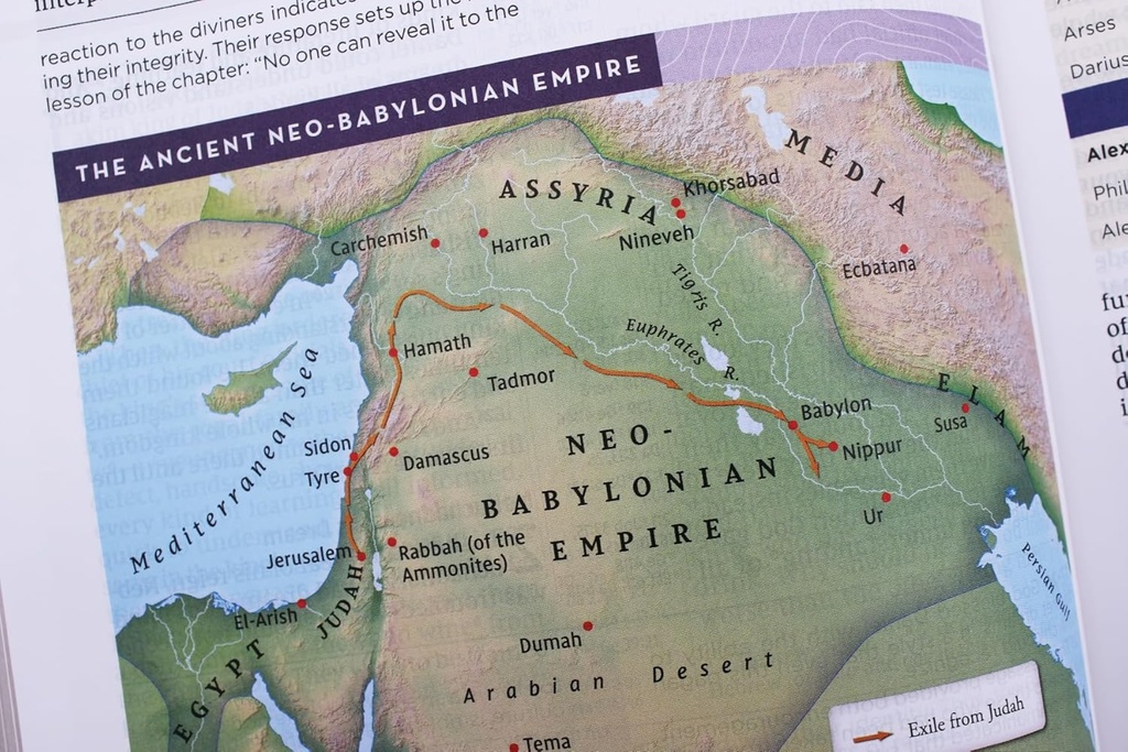 NIV Application Bible Large Print European BL (04/25)