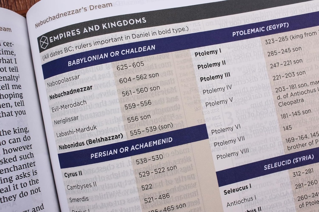 NIV Application Bible Large Print European BL (04/25)