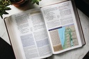 NIV Application Bible Large Print Leathersoft Brown (04/25)