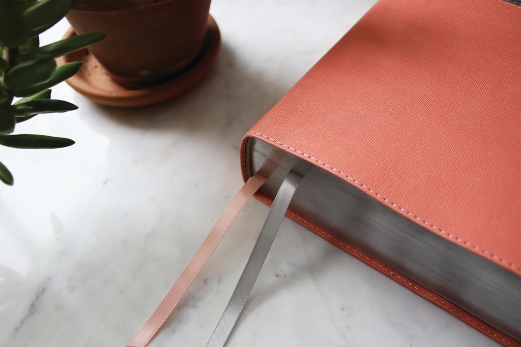 NIV Application Bible Leathersoft Coral/Gray RedL In(04/25)