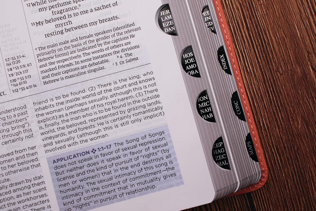NIV Application Bible Leathersoft Coral/Gray RedL In(04/25)
