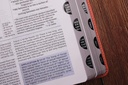 NIV Application Bible Leathersoft Coral/Gray RedL In(04/25)