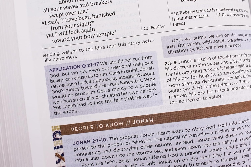 NIV Application Bible Leathersoft Coral/Gray RedL In(04/25)