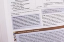 NIV Application Bible Leathersoft Coral/Gray RedL In(04/25)