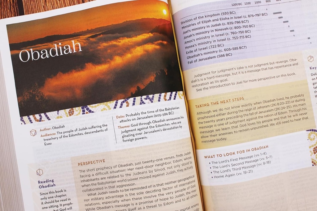 NIV Application Bible LP Leathersoft Brown Index (04/25)
