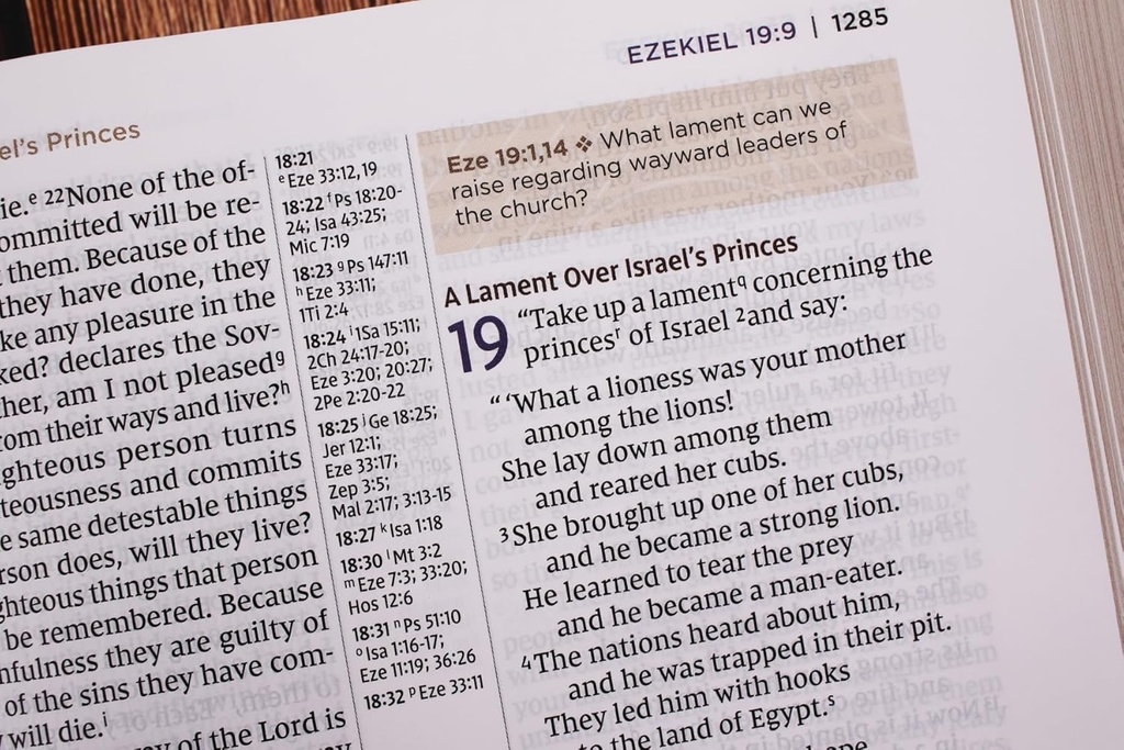 NIV Application Bible LP Leathersoft Brown Index (04/25)