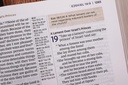 NIV Application Bible LP Leathersoft Brown Index (04/25)