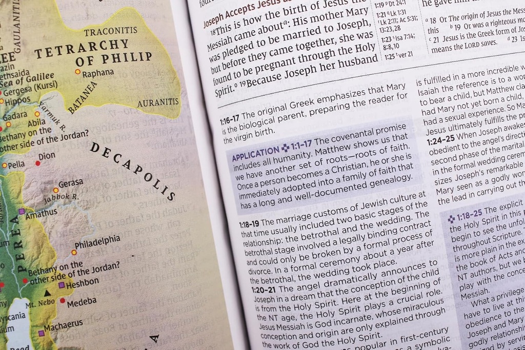 NIV Application Bible LP Leathersoft Brown Index (04/25)