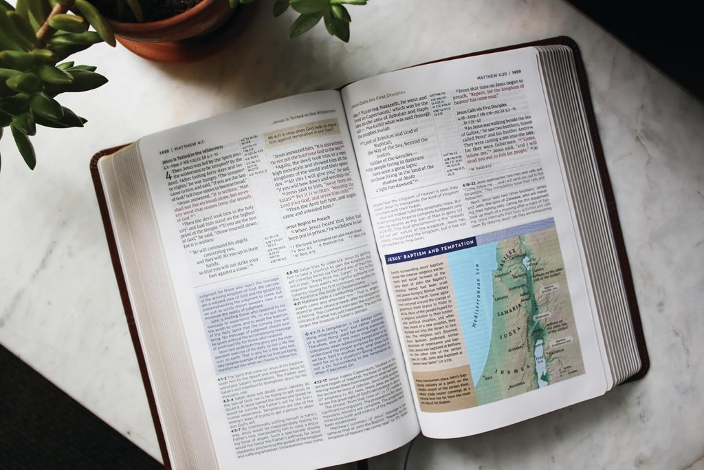 NIV Application Bible PersSize Leathersoft Brown/Blue(04/25)