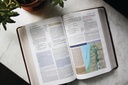 NIV Application Bible PersSize Leathersoft Brown/Blue(04/25)