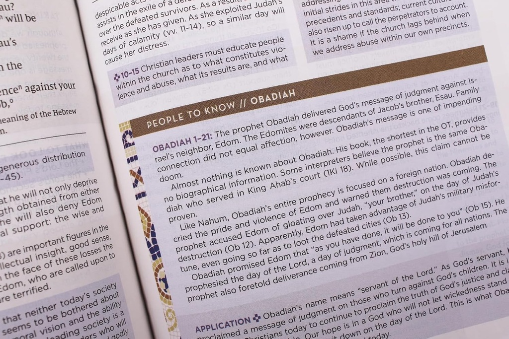 NIV Application Bible PersSize Leathersoft Brown/Blue(04/25)