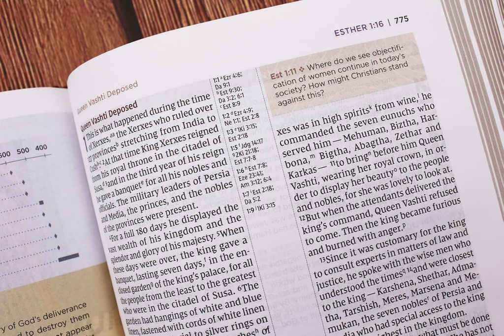 NIV Application Bible PersSize Leathersoft Brown/Blue(04/25)