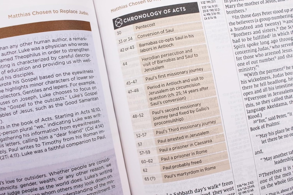 NIV Application Bible PersSize Leathersoft Brown/Blue(04/25)