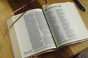 NIV Artisan Collection Bible Blush Floral I/L