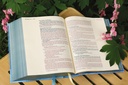 NIV Artisan Collection Bible Red Letter Ed Blue H/C