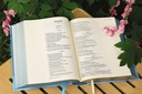 NIV Artisan Collection Bible Red Letter Ed Blue H/C