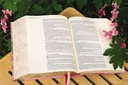 NIV Artisan Collection Bible Pink Floral Red Letter H/C