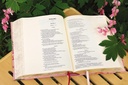 NIV Artisan Collection Bible Pink Floral Red Letter H/C