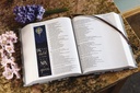 NIV Beautiful Word Bible Updated Ed Floral H/C