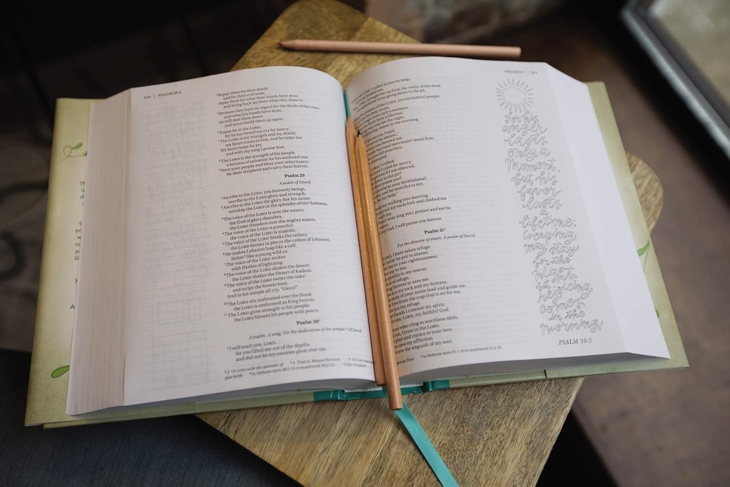 NIV Beautiful Word Colouring Bible-  Hundreds of Verses