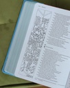 NIV Beautiful Word Colouring Bible For Teen Girls Pink/Blue