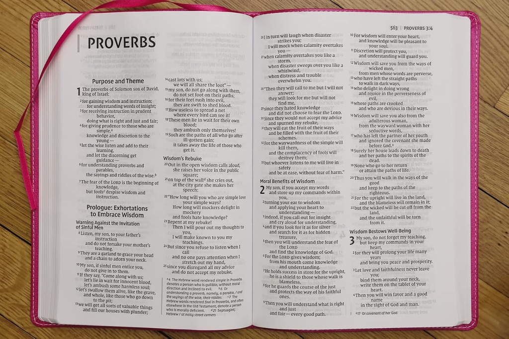 NIV Bible For Kids Large Print Thinline Pink I/L