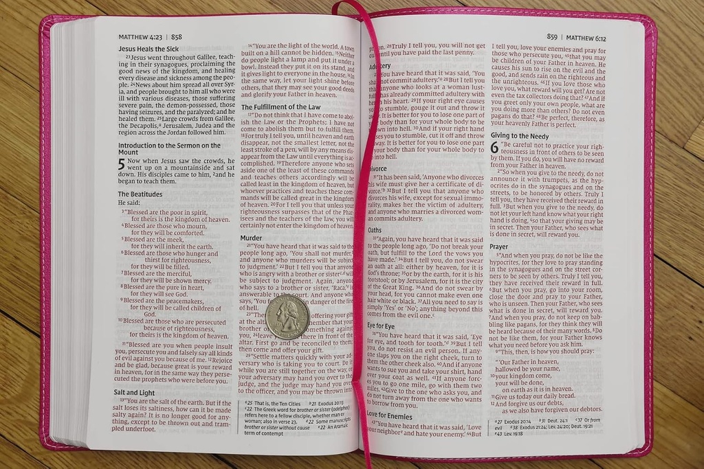 NIV Bible For Kids Large Print Thinline Pink I/L