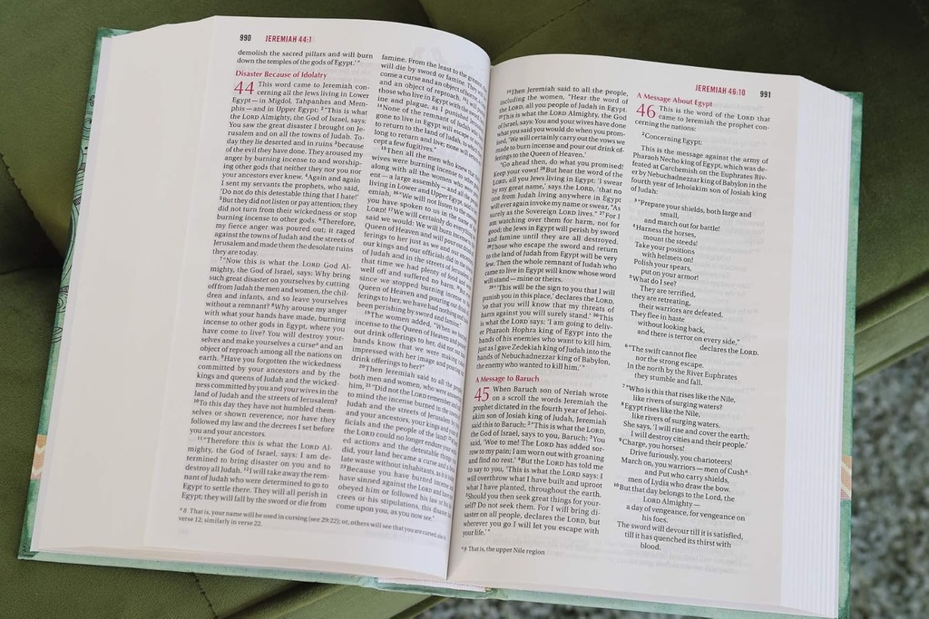 NIV Bible For Teen Girls H/C