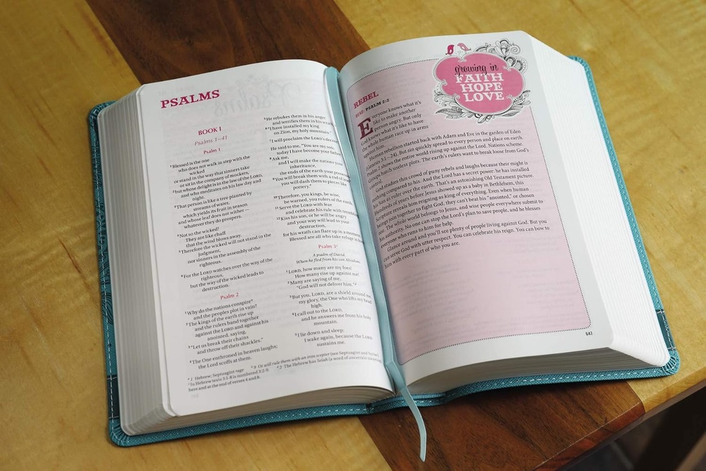 NIV Bible For Teen Girls Teal Imitation Leather